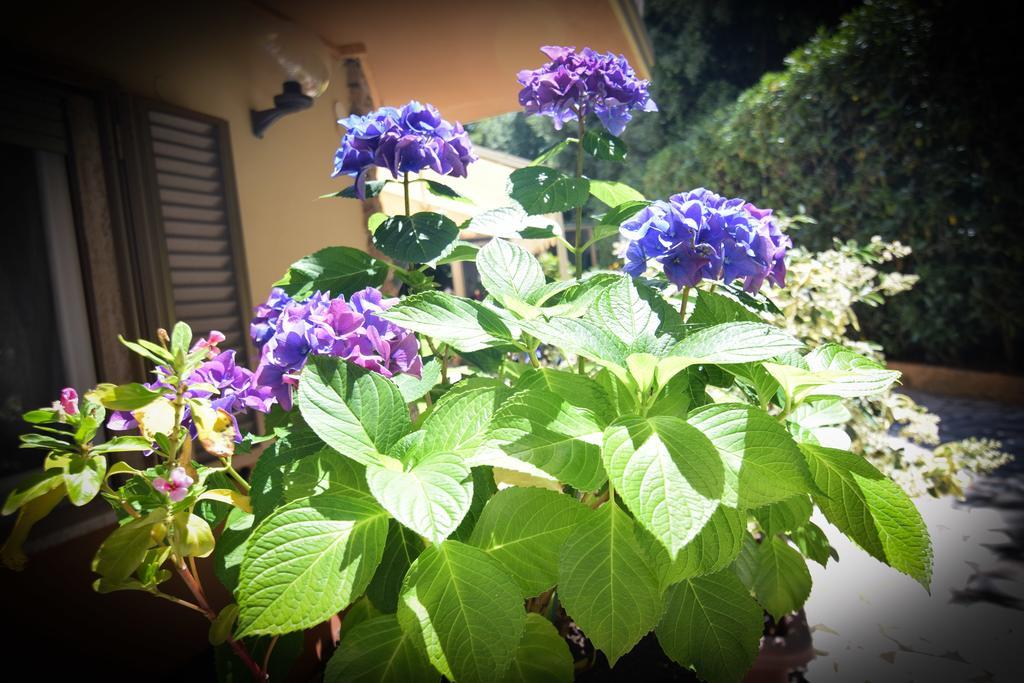 Hotel Denia